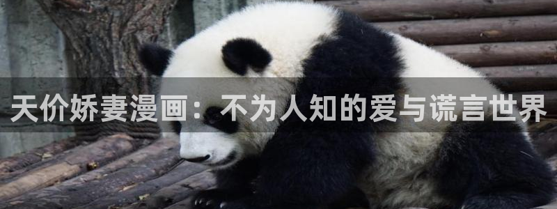 寄宿日记漫画汗汗漫画：天价娇妻漫画：不为人知的爱与谎言世界