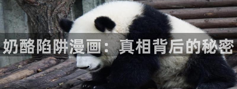 汗汗漫画在线观看入口