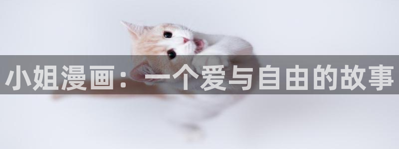 汗汗漫画官方网站