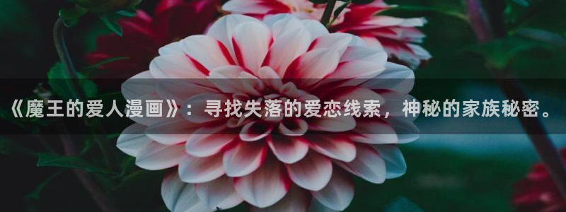 l汗汗漫画