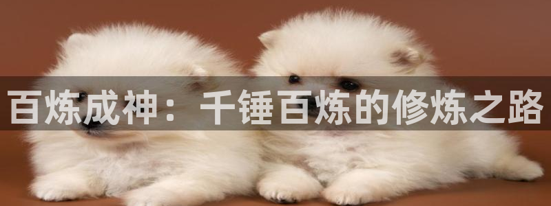 汗汗漫画在线网站