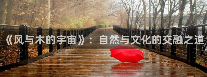 韩漫免费汗汗漫画：《风与木的宇宙》：自然与文化的交融之道