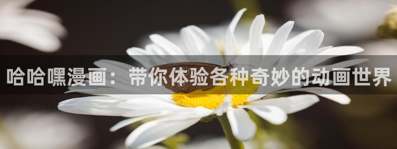 汗汗漫画sss正式：哈哈嘿漫画：带你体验各种奇妙的动画世界