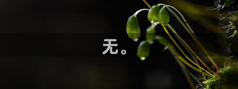 汗汗漫画阅读：无。
