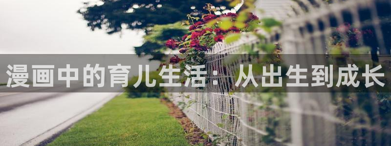 l汗汗漫画：漫画中的育儿生活：从出生到成长