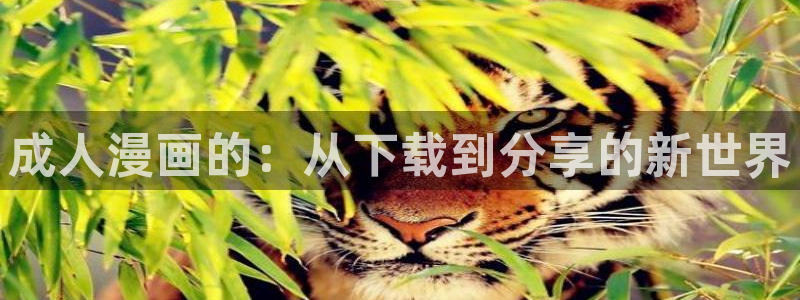 汗汗漫画链接：成人漫画的：从下载到分享的新世界
